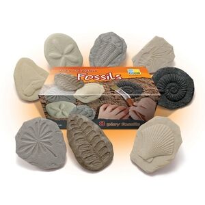 Yellowdoor Play And Explore Fossil Imprint Learning Stones Set